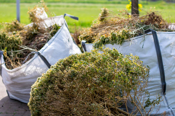 Best Attic Cleanout Services  in Inverness Highlands North, FL